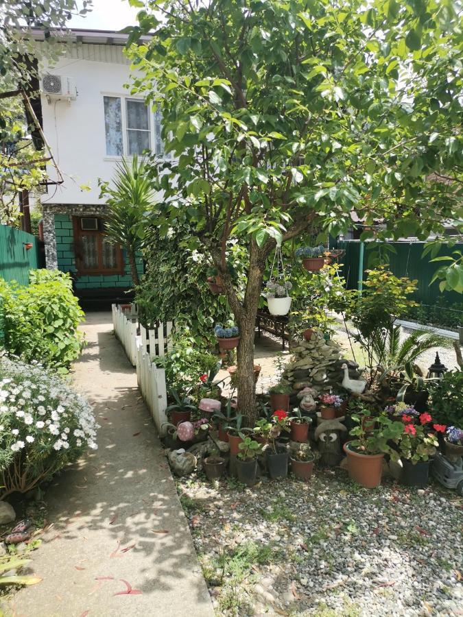 Гостевой Дом В Гаграх"Море Солнца" Gagra Extérieur photo